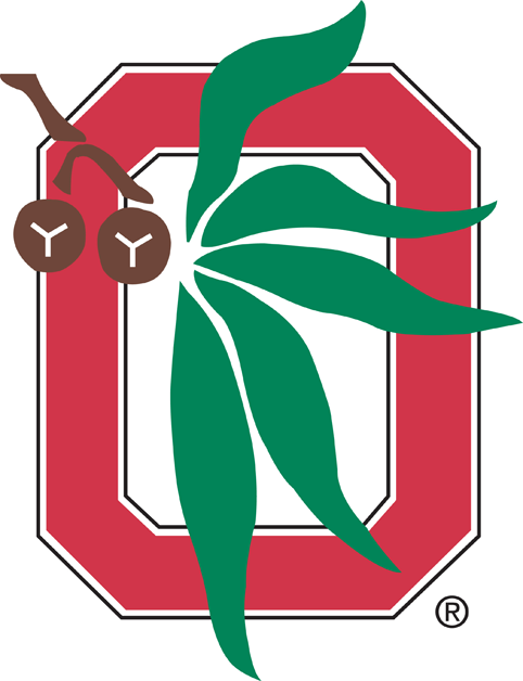 Ohio State Buckeyes 1968-Pres Alternate Logo v3 diy fabric transfer